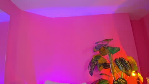 Bianca online show from December 2024 10:02:01 AM