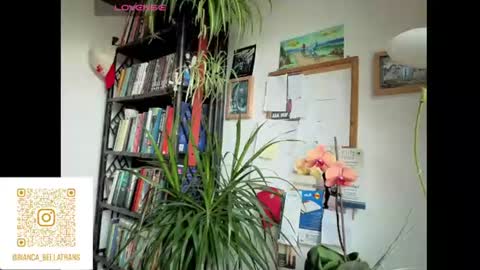 Bianca Transgirl online show from June 2026 07:42:02 AM