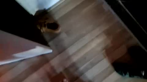 Snapshot of bibaboob chatting on February 2026 10:36:02 AM bibaboob online show from February 2026 10:36:02 AM