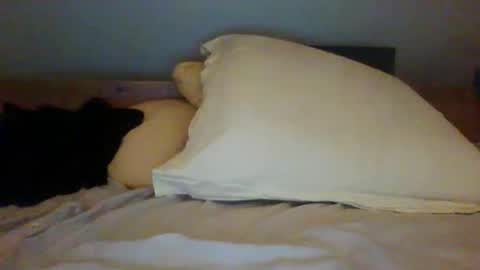 bibipheuck online show from November 2025 12:04:01 PM