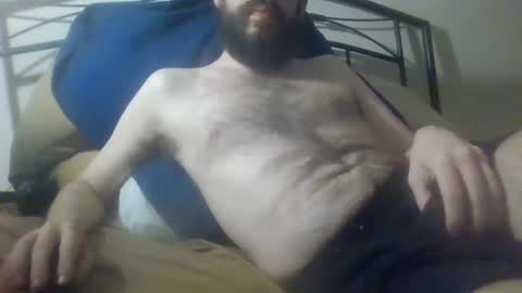 bibotguy online show from December 2024 11:40:01 PM