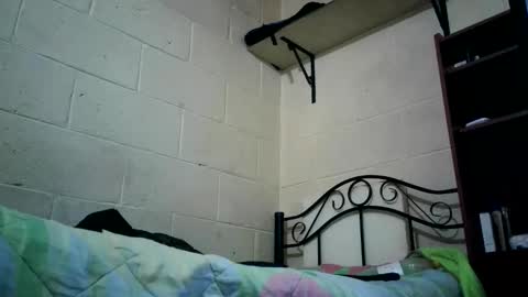 Snapshot of bichopeludo chatting on October 2025 12:08:02 AM bichopeludo online show from October 2025 12:08:02 AM