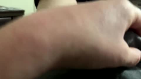 bidd281194 online show from February 2026 03:18:01 AM