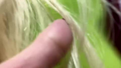 Snapshot of big_clit71 chatting on January 2025 06:05:01 AM angela online show from January 2025 06:05:01 AM