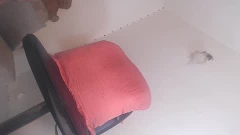 dashiell online show from March 2026 03:48:01 PM