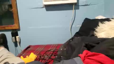 bigblu659 online show from January 2025 12:35:02 AM