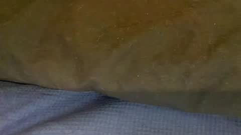 Snapshot of bigboii842 chatting on November 2025 04:36:01 PM bigboii842 online show from November 2025 04:36:01 PM