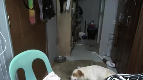 bigboobslyn online show from May 2026 04:24:01 PM