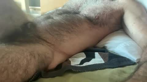 big bush online show from April 2026 09:28:02 PM