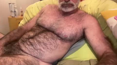 big bush online show from July 2026 08:39:02 AM