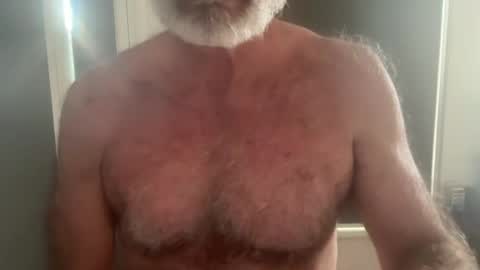 big bush online show from July 2026 04:43:02 AM