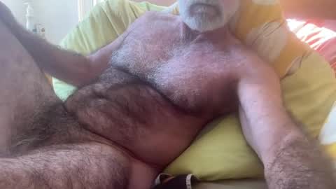 big bush online show from July 2026 03:13:01 AM
