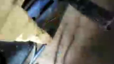 bigcockj808209 online show from July 2026 04:28:01 AM
