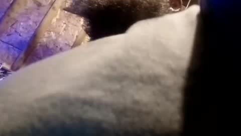 Snapshot of bigdaddy1231995 chatting on November 2025 09:41:01 AM BigDaddykodack online show from November 2025 09:41:01 AM