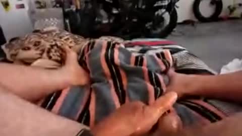 bigdaddydongarlets391292 online show from June 2026 09:08:02 PM