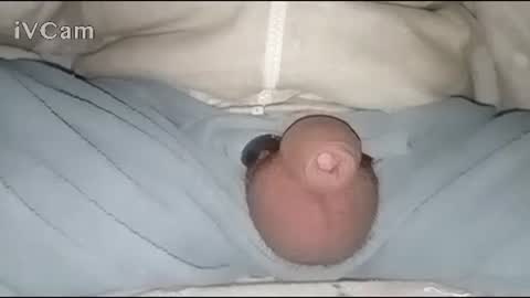 Big online show from January 2025 02:49:02 AM