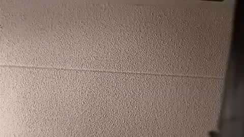 bigdickdaddy7201979564868 online show from February 2026 12:30:02 AM