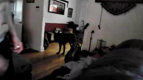 bigdickdaddy7201979564868 online show from May 2026 09:42:02 PM