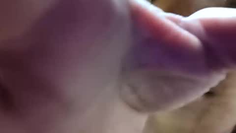 bigdickdaddy7201979564868 online show from June 2026 08:24:02 AM