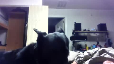 bigdickdaddy7201979564868 online show from June 2026 06:40:02 AM