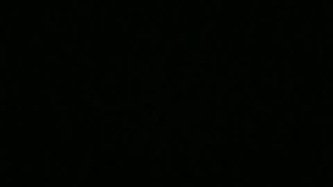 Snapshot of bigdickfitdude34 chatting on September 2025 12:54:01 AM bigdickfitdude34 online show from September 2025 12:54:01 AM