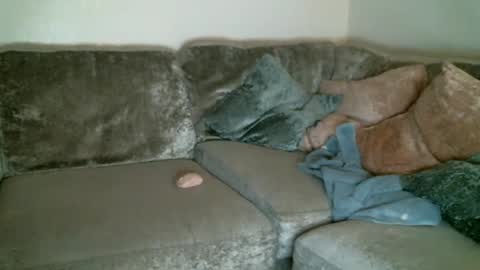 Snapshot of bigdickjimmywill chatting on February 2025 05:47:02 AM CAJEinc online show from February 2025 05:47:02 AM