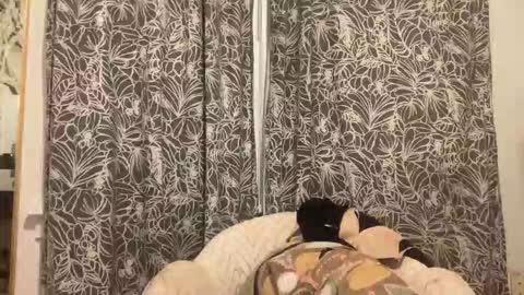 Snapshot of bigdickwalkin chatting on February 2026 02:41:02 AM bigdickwalkin online show from February 2026 02:41:02 AM