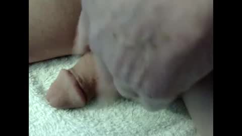 Snapshot of bigdipper58 chatting on February 2025 05:18:02 PM bigdipper58 online show from February 2025 05:18:02 PM