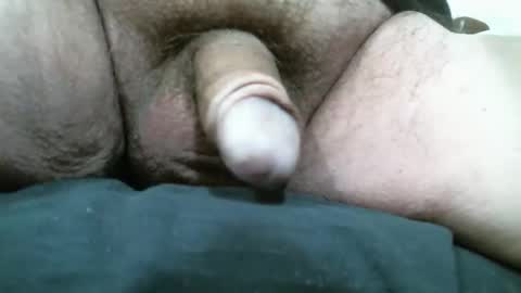 BigDog online show from March 2026 08:14:01 PM