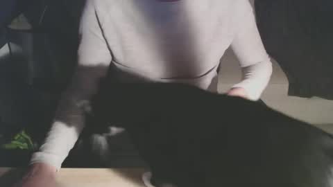 Snapshot of bigdutchenergy chatting on February 2026 11:06:01 PM BigDutchEnergy online show from February 2026 11:06:01 PM