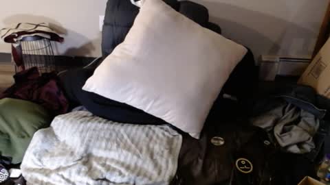 Bigandthick online show from January 2025 07:46:02 AM