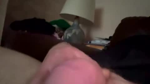 biggloves4bighands online show from December 2025 02:24:02 PM