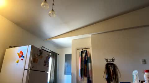 Snapshot of bigheadaddy90 chatting on February 2025 07:04:02 PM Daniel Noelia online show from February 2025 07:04:02 PM