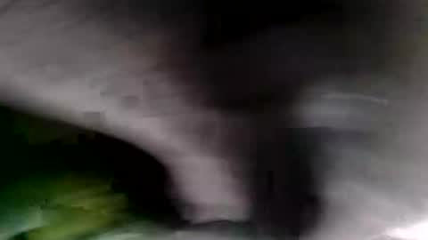 bignastyfilthy online show from January 2026 02:15:01 AM