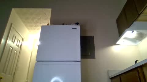 Snapshot of bigpussypump chatting on September 2025 04:24:02 AM bigpussypump online show from September 2025 04:24:02 AM