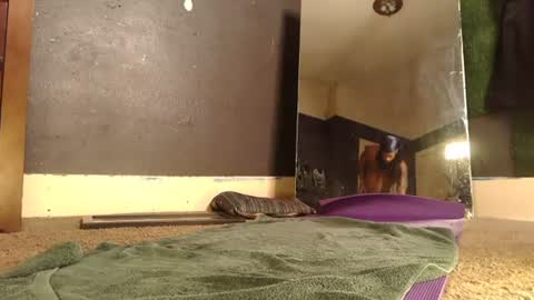 bigpussypump online show from July 2026 07:27:02 AM