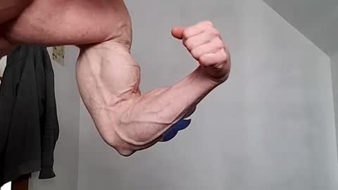 Jarvis online show from December 2024 08:47:02 PM