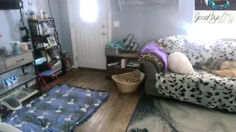 Snapshot of bigskittles4you chatting on February 2026 05:22:02 PM Skittles online show from February 2026 05:22:02 PM