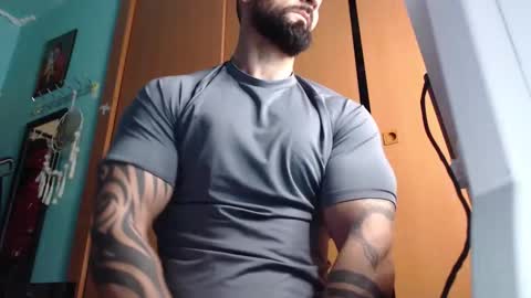 BigStallion online show from November 2025 11:51:02 PM