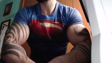 BigStallion online show from March 2026 11:31:01 PM