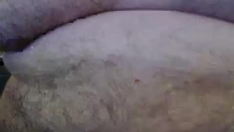 Snapshot of bigstudfred chatting on March 2026 11:58:01 AM jason online show from March 2026 11:58:01 AM