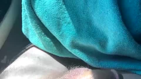 bigswollenhead4u online show from May 2026 09:11:02 PM