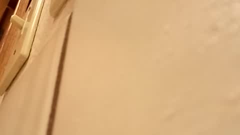 DeePee online show from February 2026 01:35:02 AM