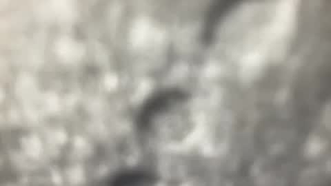 biguywithtoys online show from December 2024 06:37:02 PM