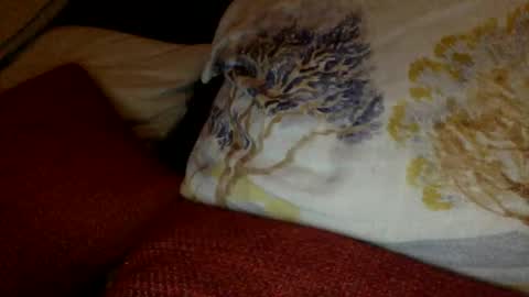 Snapshot of bigvic25cm chatting on March 2025 07:04:02 PM bigvic25cm online show from March 2025 07:04:02 PM