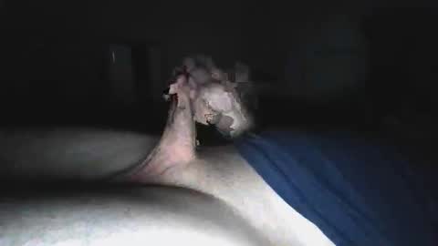 biiiiiiiiiiiiiig_ online show from May 2026 05:04:02 AM