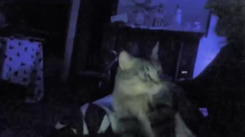 billenews online show from February 2026 06:01:02 AM