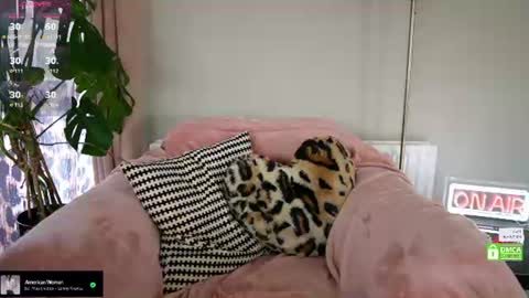 Billie online show from June 2026 02:21:01 PM