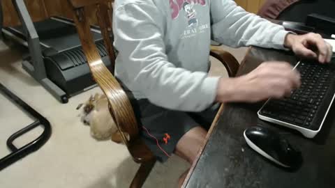 Snapshot of billy471 chatting on January 2025 09:14:02 PM billy471 online show from January 2025 09:14:02 PM