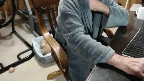 Snapshot of billy471 chatting on December 2025 11:52:01 AM billy471 online show from December 2025 11:52:01 AM